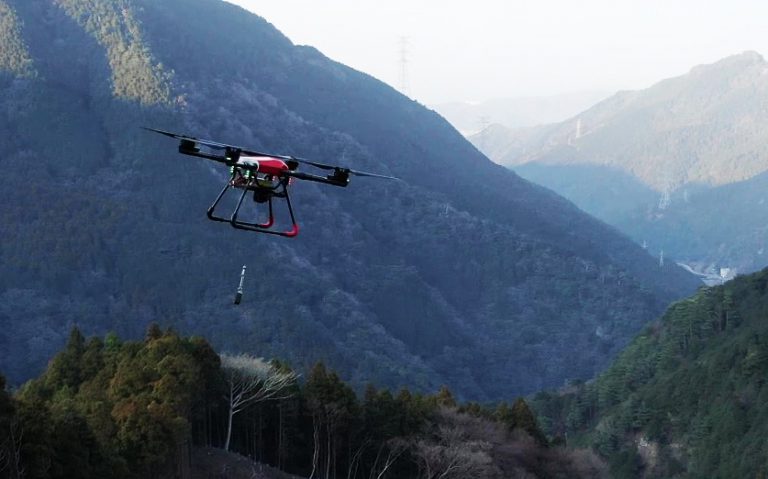 スマート林業とは？人材不足を解決するIT技術導入の背景 株式会社マゼックス