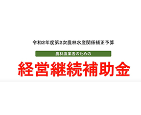 特設 経営継続補助金 株式会社マゼックス