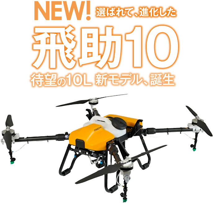 No.1