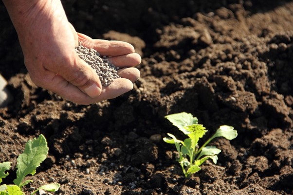 ドローン散布における効果的な肥料の選び方